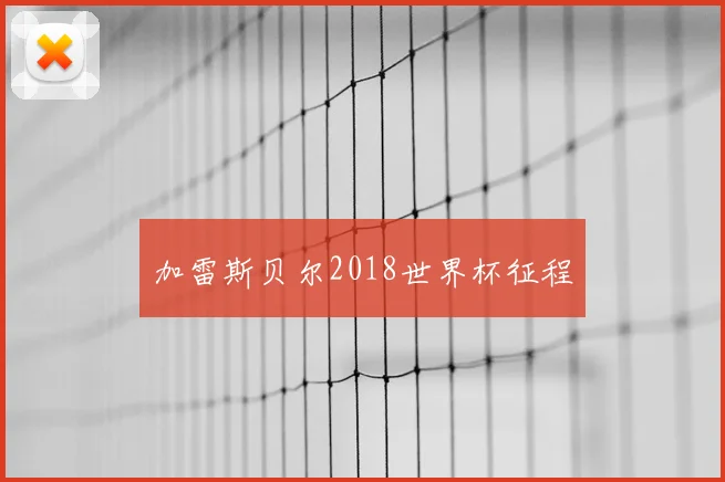 加雷斯贝尔2018世界杯征程