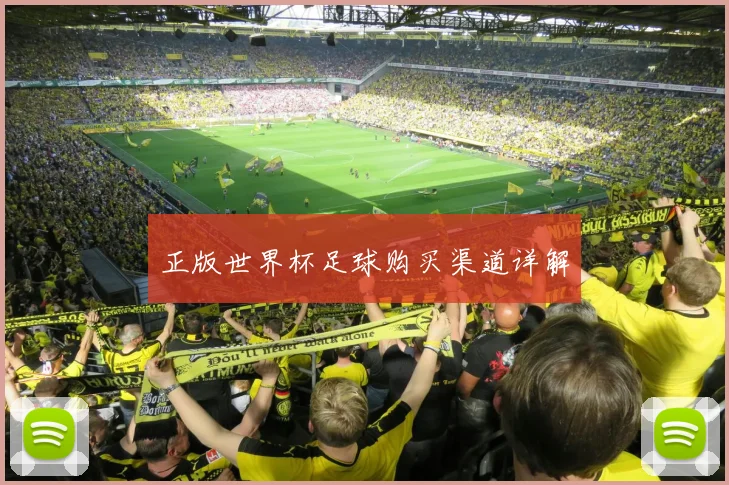 正版世界杯足球购买渠道详解