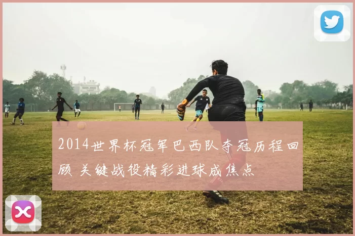 2014世界杯冠军巴西队夺冠历程回顾 关键战役精彩进球成焦点