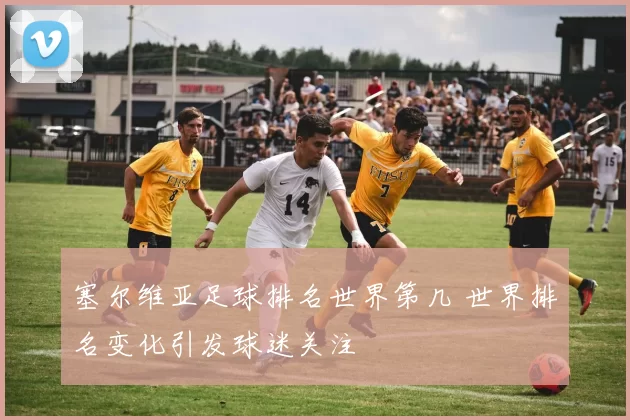 塞尔维亚足球排名世界第几 世界排名变化引发球迷关注