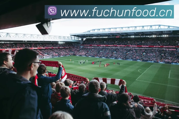 leyu·乐鱼(中国)体育官方网站服务体系